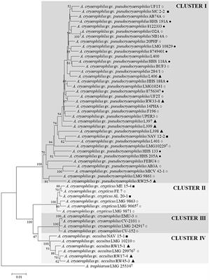 A Polyphasic and Taxogenomic Evaluation Uncovers Arcobacter cryaerophilus as a Species Complex That Embraces Four Genomovars